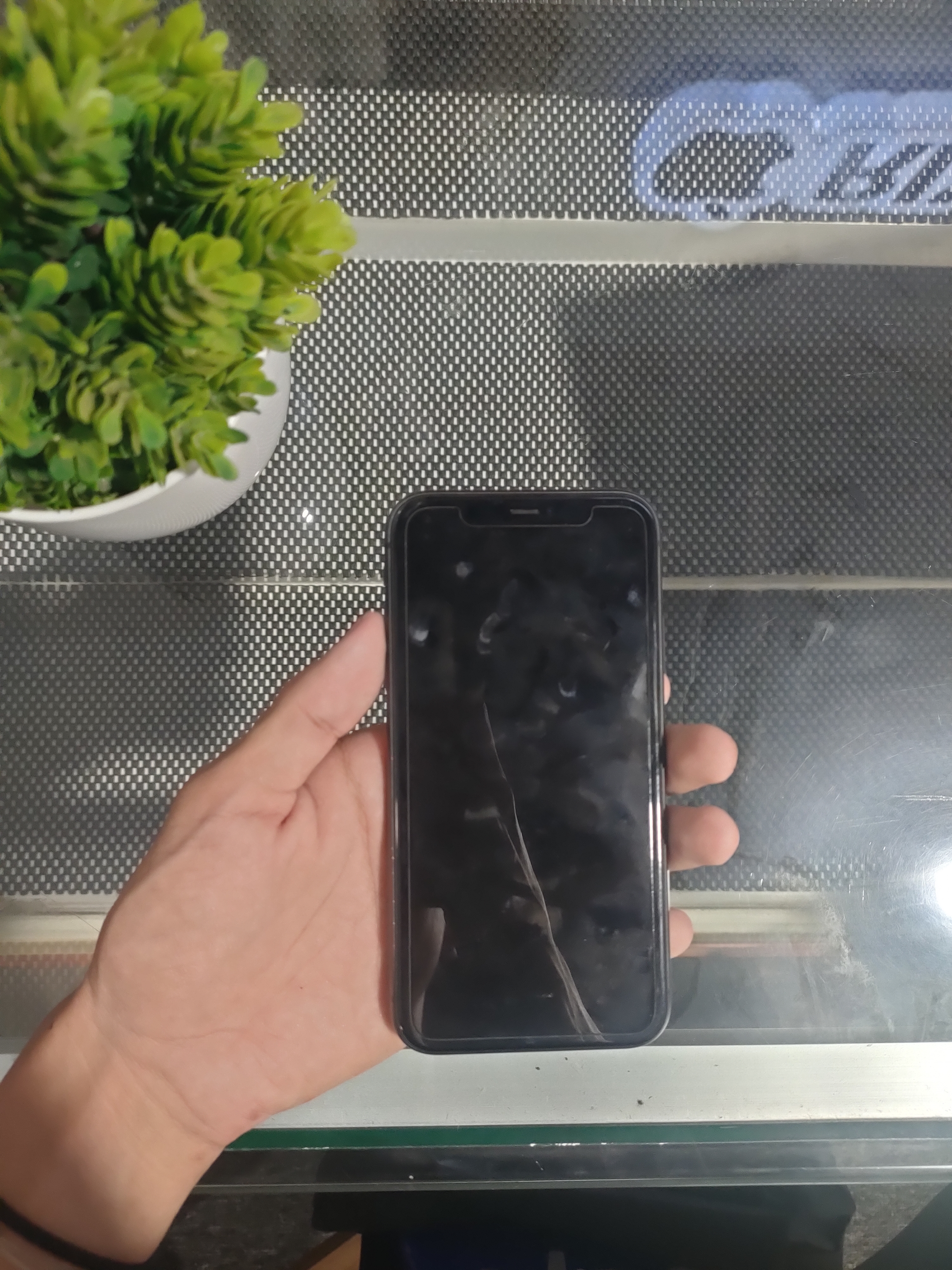 iPhone 11